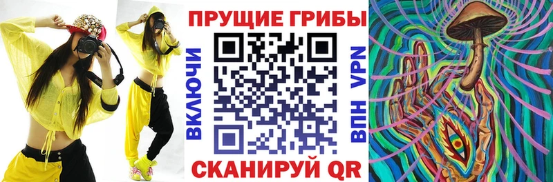 сколько стоит  Яранск  Галлюциногенные грибы прущие грибы 